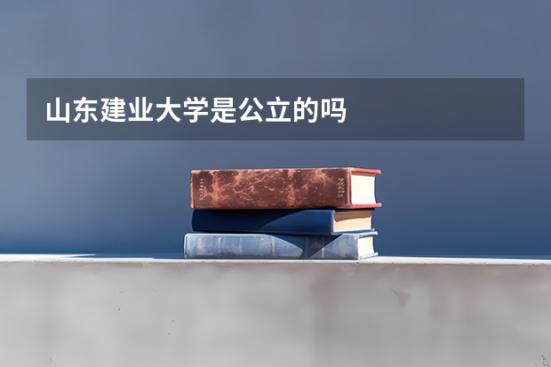 山东建业大学是公立的吗