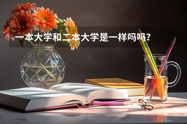 一本大学和二本大学是一样吗吗？