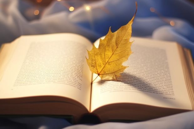 成都师范学院怎样？ 成都大学是二本还是三本