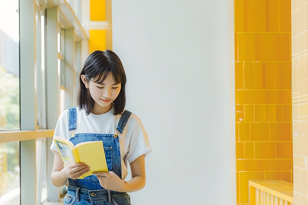 447分能考上什么学校