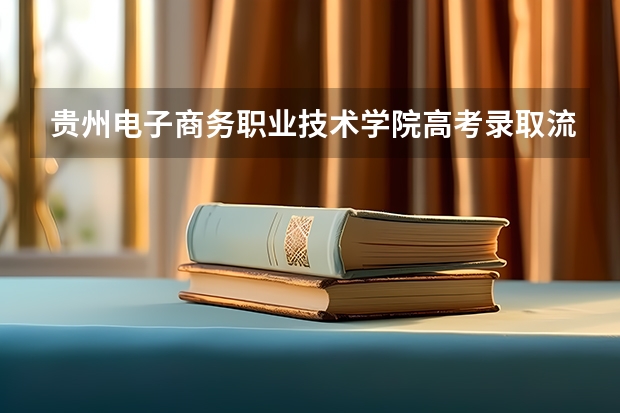 贵州电子商务职业技术学院高考录取流程怎么样？（高考招生政策）