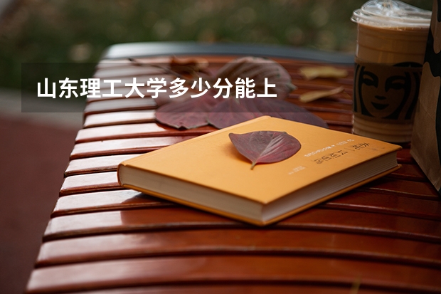 山东理工大学多少分能上