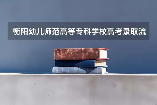 衡阳幼儿师范高等专科学校高考录取流程怎么样？（高考招生政策）