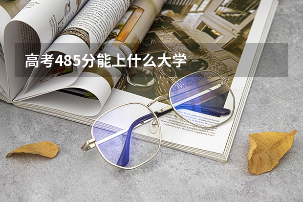 高考485分能上什么大学