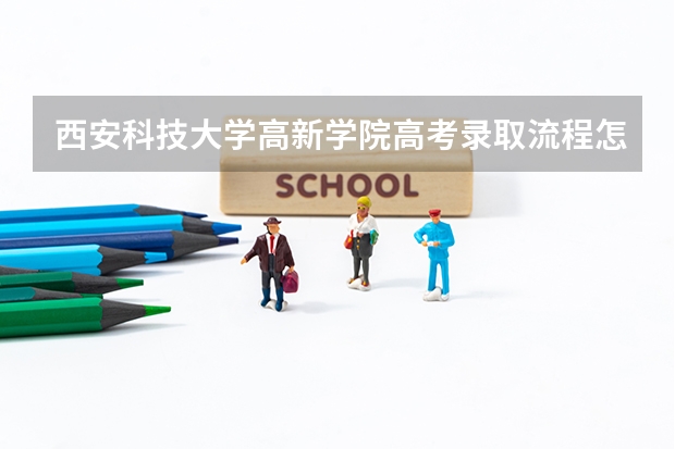 西安科技大学高新学院高考录取流程怎么样？（高考招生政策）