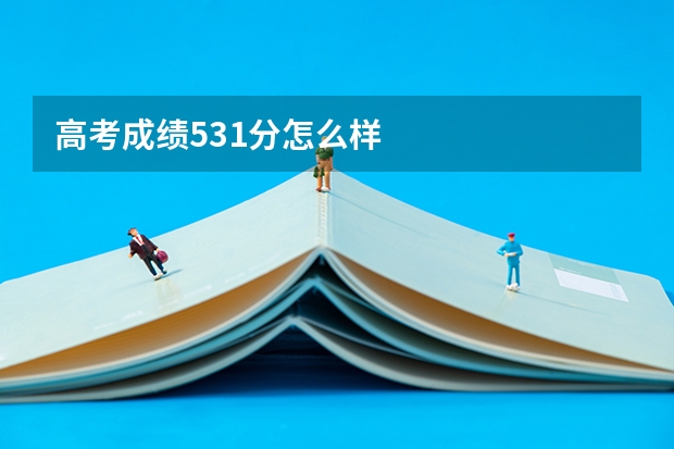 高考成绩531分怎么样