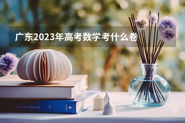 广东2023年高考数学考什么卷