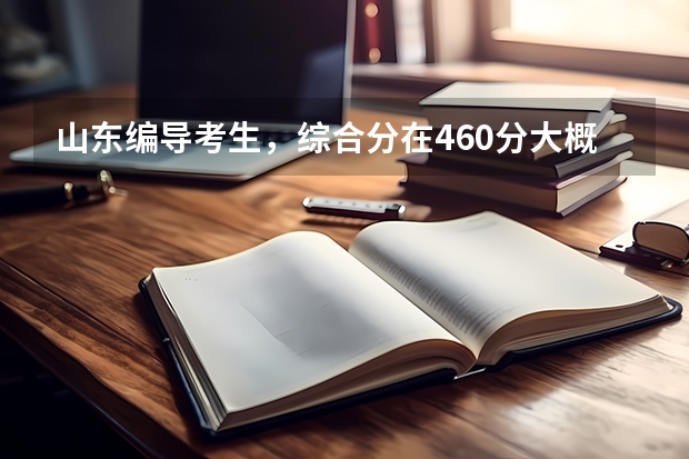 山东编导考生，综合分在460分大概可以上什么样的本科，公办本科有希望吗？