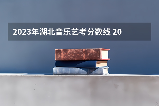 2023年湖北音乐艺考分数线 2024年艺考美术文化分数线