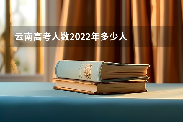 云南高考人数2022年多少人