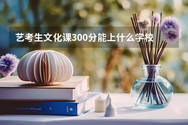 艺考生文化课300分能上什么学校