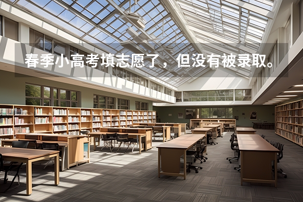 春季小高考填志愿了，但没有被录取。夏季高考还能填专科志愿吗？