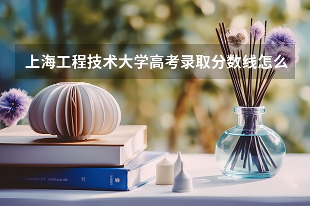 上海工程技术大学高考录取分数线怎么算？