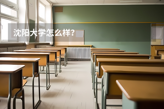 沈阳大学怎么样？