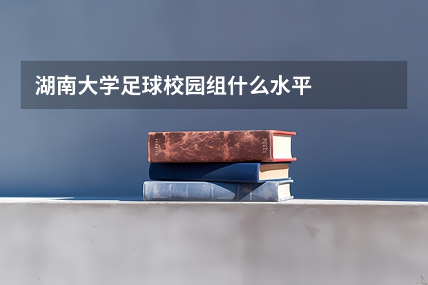 湖南大学足球校园组什么水平