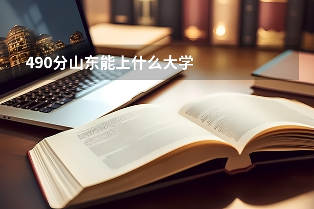 490分山东能上什么大学
