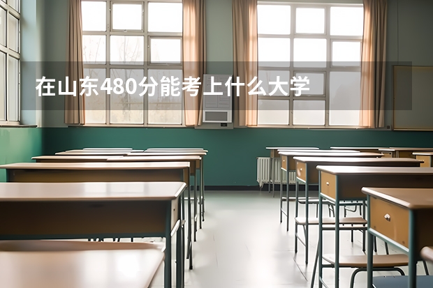 在山东480分能考上什么大学