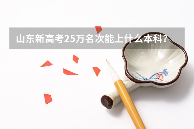 山东新高考25万名次能上什么本科？