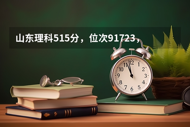 山东理科515分,位次91723,能报考什么大学