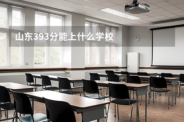 山东393分能上什么学校