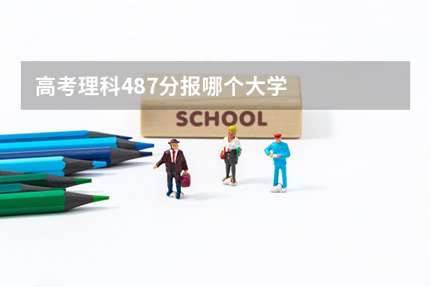 高考理科487分报哪个大学