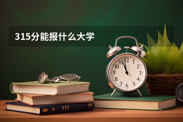 315分能报什么大学