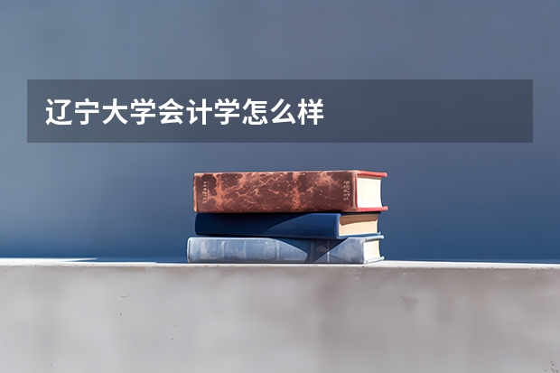 辽宁大学会计学怎么样