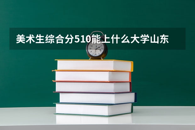 美术生综合分510能上什么大学山东？