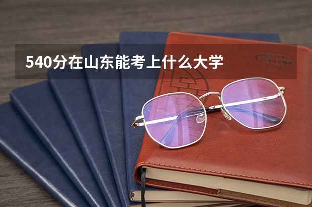 540分在山东能考上什么大学