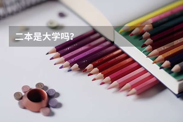 二本是大学吗？