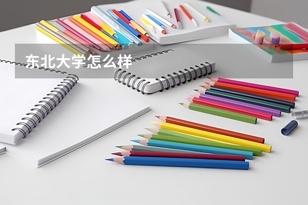 东北大学怎么样