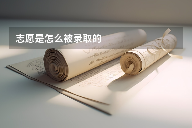 志愿是怎么被录取的