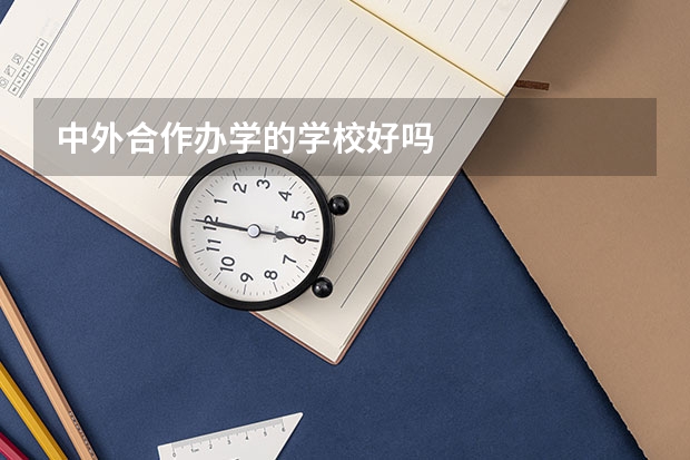 中外合作办学的学校好吗
