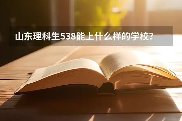 山东理科生538能上什么样的学校？