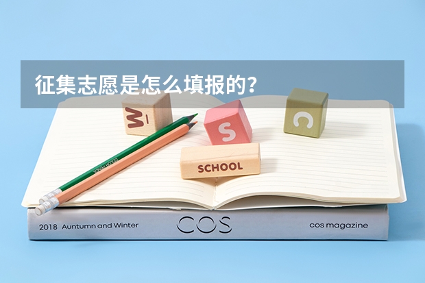 征集志愿是怎么填报的？