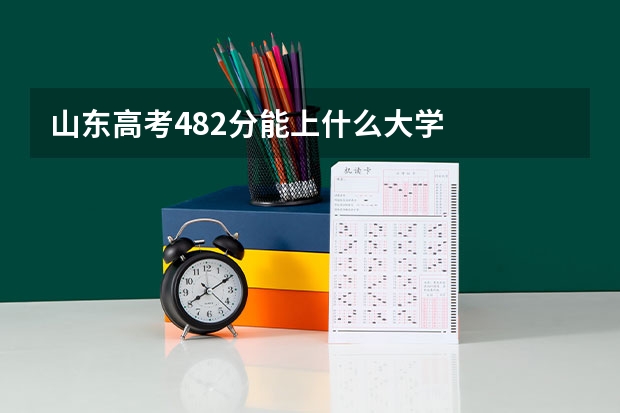 山东高考482分能上什么大学
