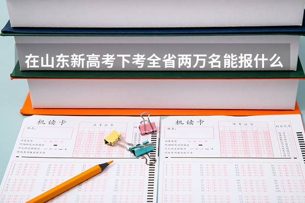 在山东新高考下考全省两万名能报什么位次的大学?