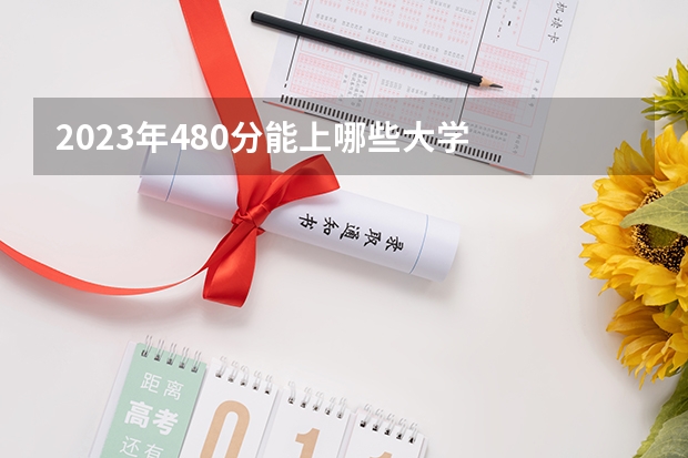 2023年480分能上哪些大学