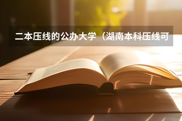 二本压线的公办大学（湖南本科压线可以上的学校）