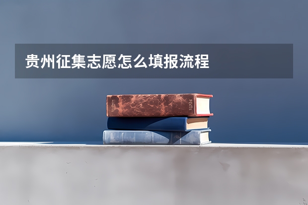 贵州征集志愿怎么填报流程