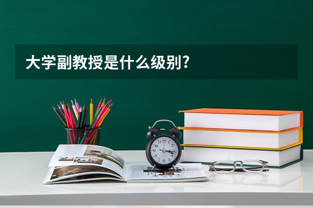 大学副教授是什么级别?