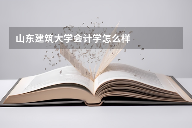 山东建筑大学会计学怎么样