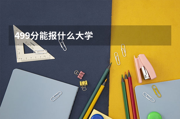 499分能报什么大学