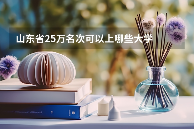 山东省25万名次可以上哪些大学