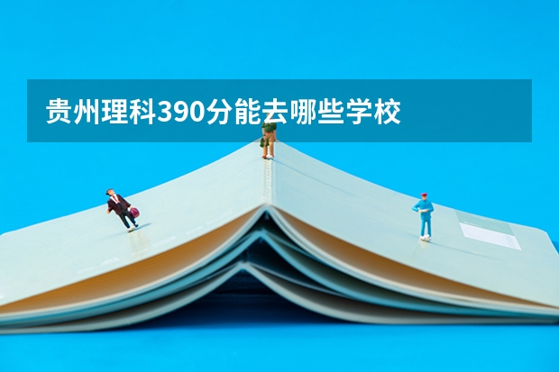 贵州理科390分能去哪些学校