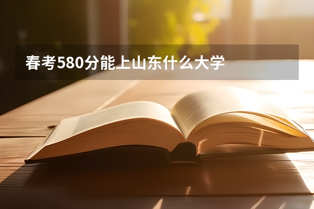 春考580分能上山东什么大学