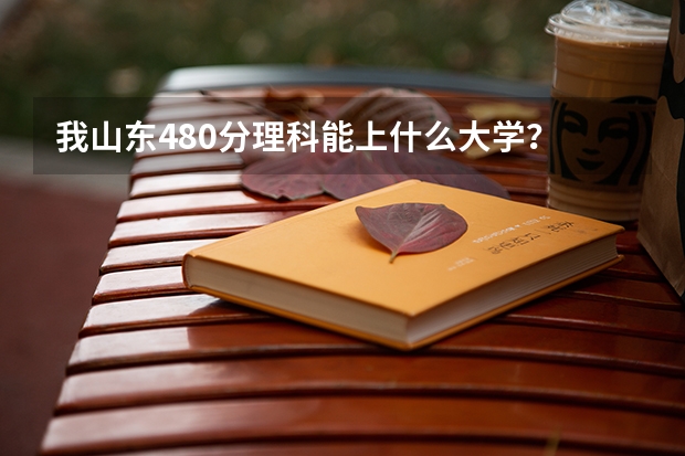 我山东480分理科能上什么大学？