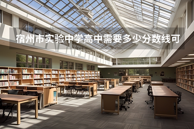 宿州市实验中学高中需要多少分数线可以上？