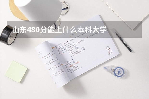 山东480分能上什么本科大学