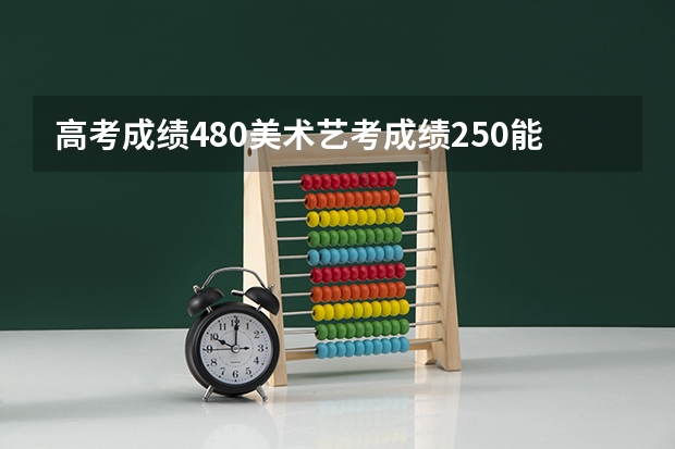 高考成绩480美术艺考成绩250能考什么大学？